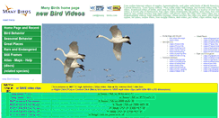 Desktop Screenshot of manybirds.com