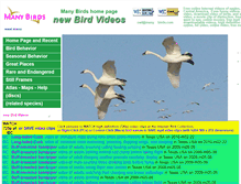 Tablet Screenshot of manybirds.com